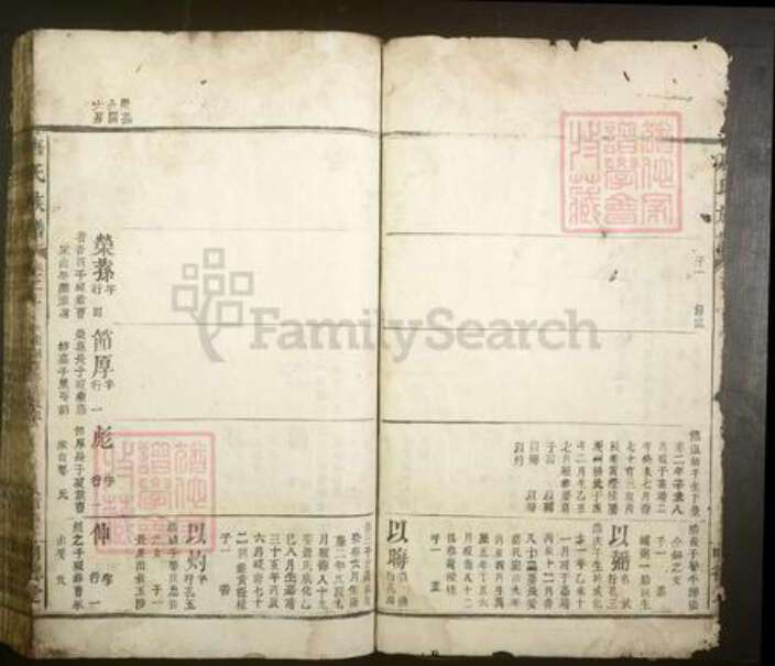 江西省宜春市丰城市唐氏族谱-唐氏族谱.pdf电子版预览图4