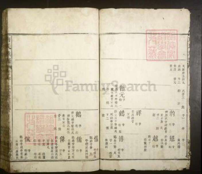 江西省宜春市丰城市唐氏族谱-唐氏族谱.pdf电子版预览图5