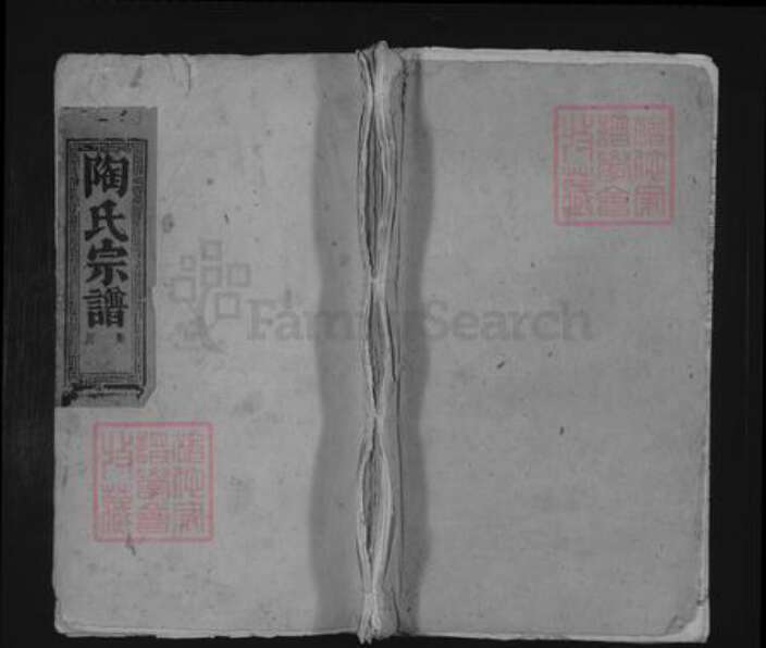 江西省九江市彭泽县陶氏族谱-陶氏宗谱 [12卷,首1卷].pdf电子版缩略图