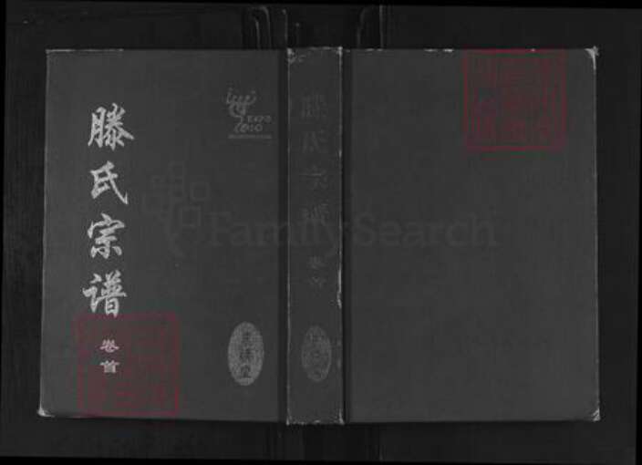 湖北省黄冈市罗田县滕氏忠绣堂族谱-滕氏宗谱.pdf电子版缩略图