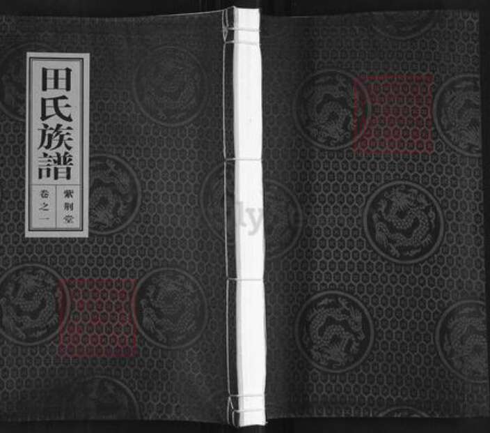 江苏省泰州市泰兴市田氏紫荆堂族谱-田氏族谱.pdf电子版缩略图