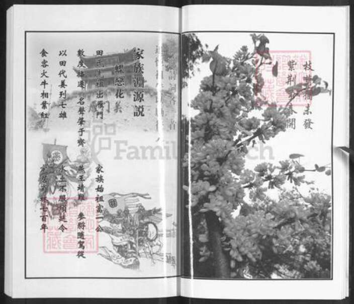 江苏省泰州市泰兴市田氏紫荆堂族谱-田氏族谱.pdf电子版预览图4