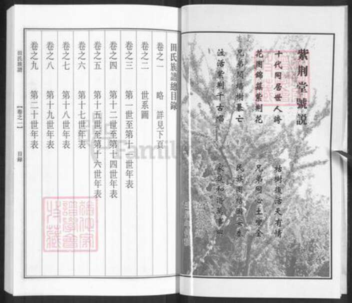 江苏省泰州市泰兴市田氏紫荆堂族谱-田氏族谱.pdf电子版预览图5