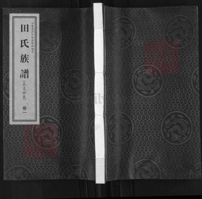 山东省临沂市沂水县田氏耕余堂族谱-田氏族谱.pdf电子版缩略图