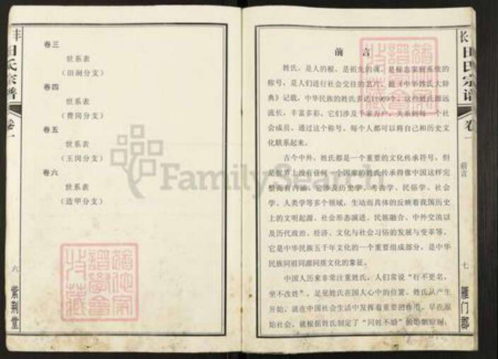 安徽省合肥市长丰县罗塘乡田氏紫荆堂族谱-长丰田氏宗谱.pdf电子版预览图4