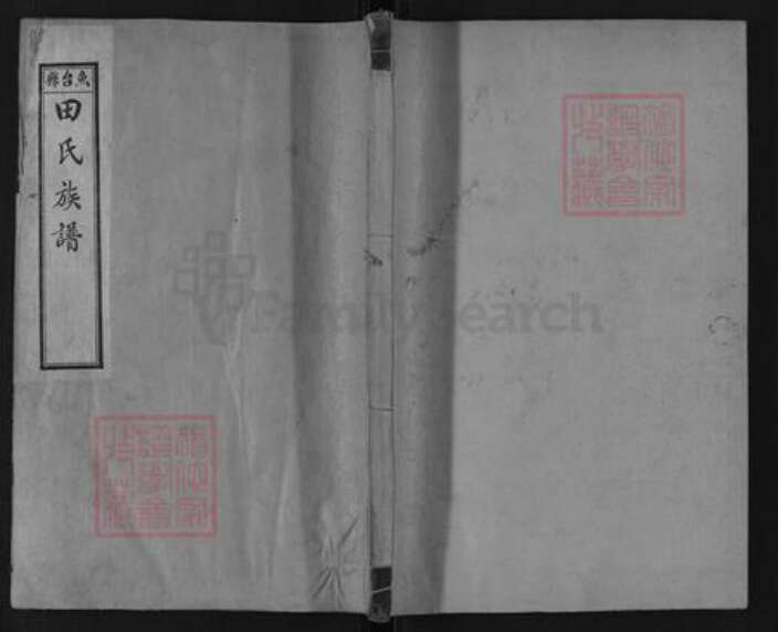 山东省济宁市鱼台县王鲁镇田氏族谱-鱼台县田氏族谱.pdf电子版缩略图