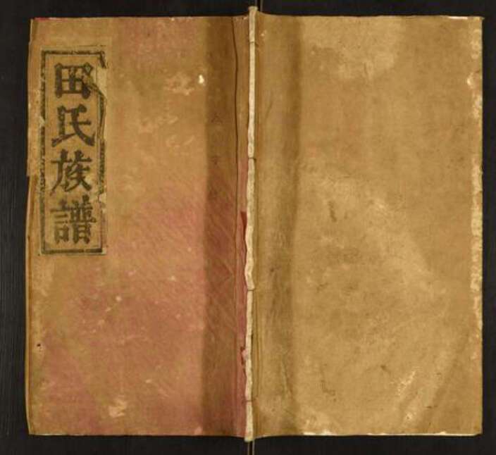 湖北省田氏族谱-田氏族谱.pdf电子版缩略图