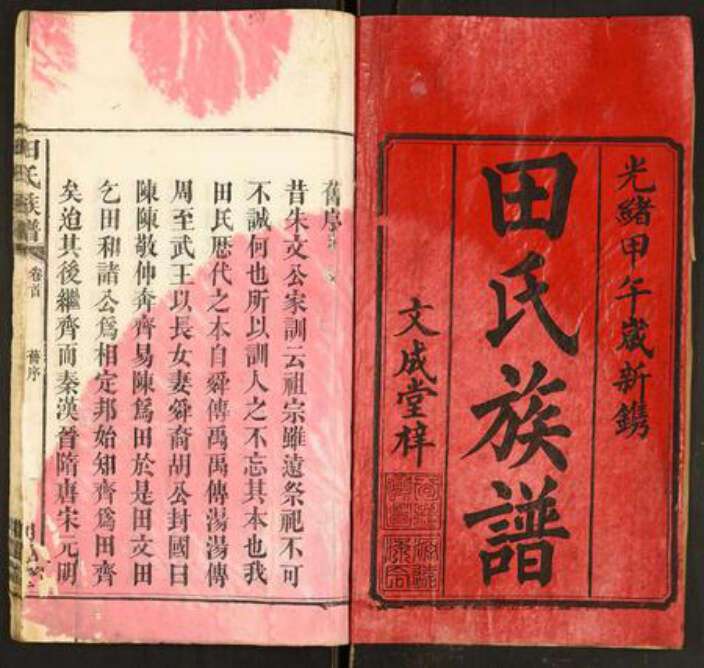 湖北省田氏族谱-田氏族谱.pdf电子版预览图1