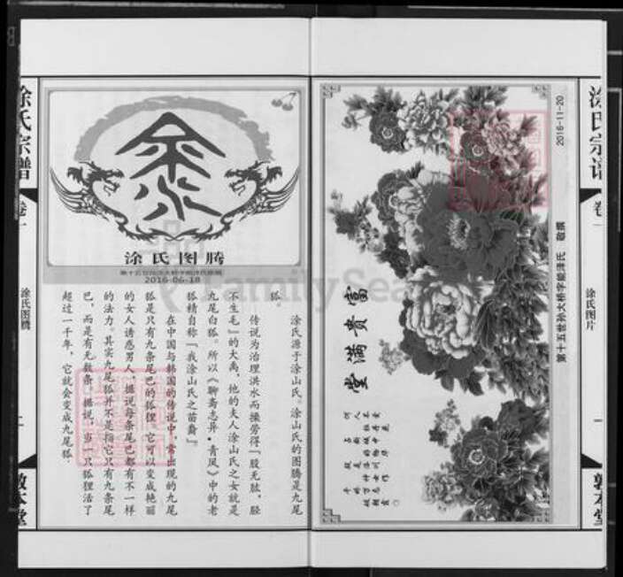 湖北省武汉市江汉区武汉涂氏敦本堂族谱-涂氏宗谱.pdf电子版预览图2