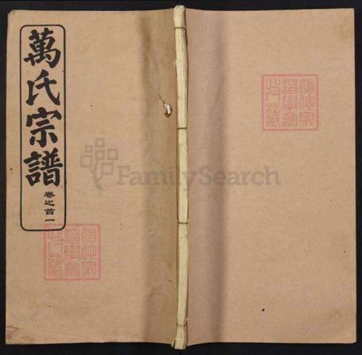 湖北省武汉市黄陂区黄陂万氏天启堂族谱-万氏宗谱.pdf电子版缩略图