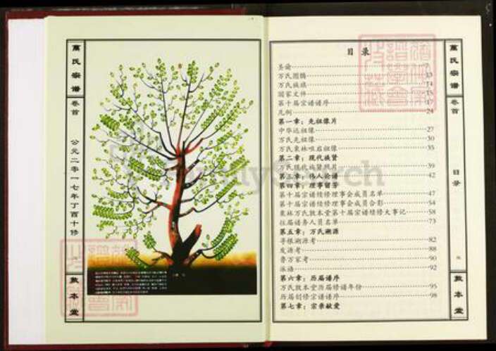 湖北省鄂州市万氏敦本堂族谱-万氏宗谱.pdf电子版预览图2