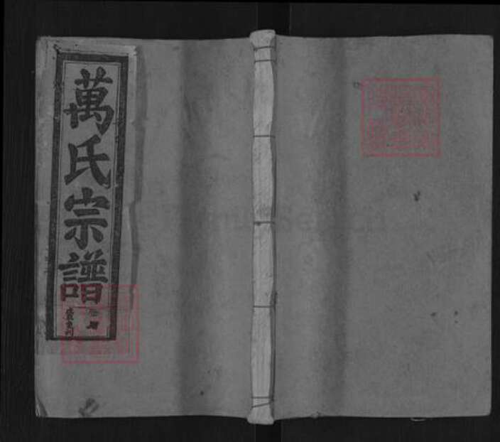 湖北省咸宁市通山县通羊镇万氏槐里堂族谱-万氏宗谱.pdf电子版缩略图