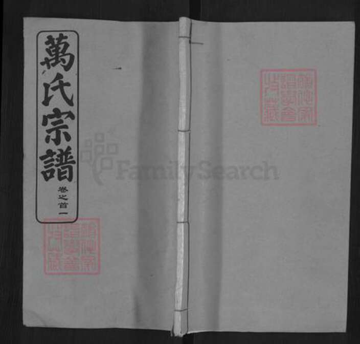 湖北省武汉市黄陂区万氏天启堂族谱-万氏宗谱.pdf电子版缩略图
