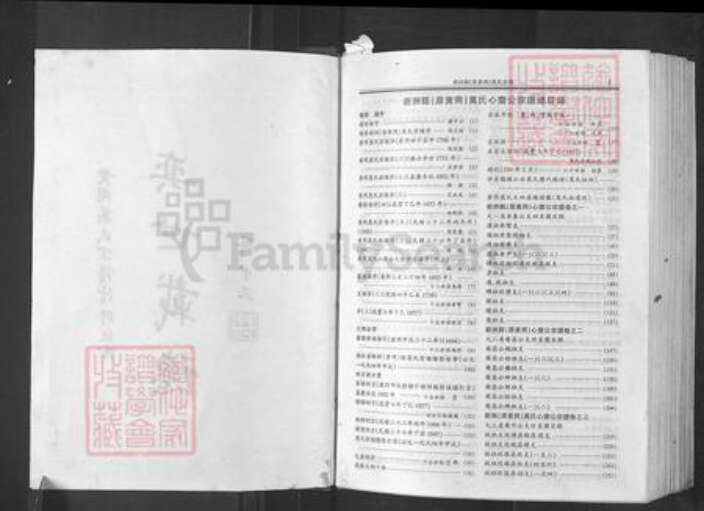 湖北省武汉市新洲区万氏族谱-万氏宗谱.pdf电子版预览图2