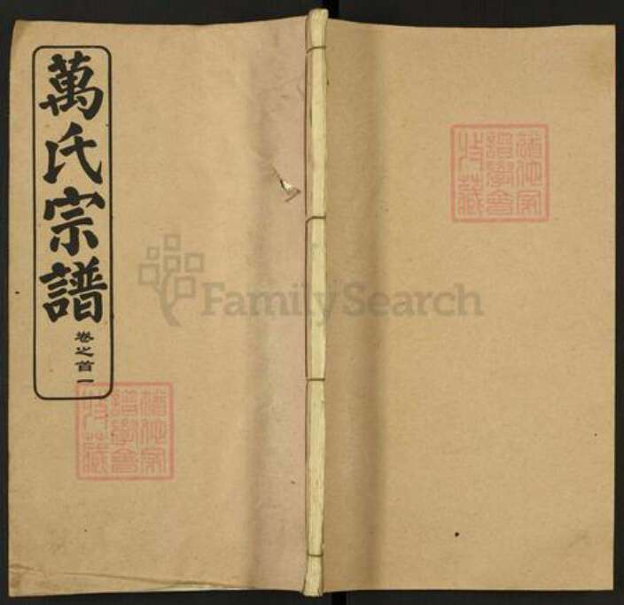 湖北省武汉市黄陂区黄陂万氏天启堂族谱-万氏家谱.pdf电子版缩略图