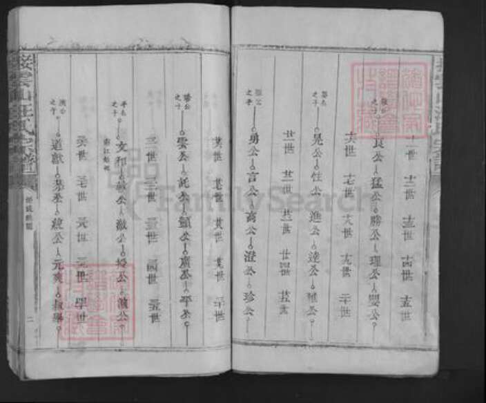 江西省抚州市临川区汪氏族谱-接云山汪氏宗谱.pdf电子版预览图2