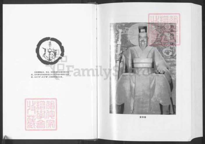 安徽省铜陵市枞阳县汪氏族谱-屯阳汪氏宗谱.pdf电子版预览图2