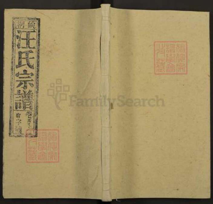 安徽省安庆市桐城市汪氏敦睦堂族谱-皖桐汪氏宗谱.pdf电子版缩略图