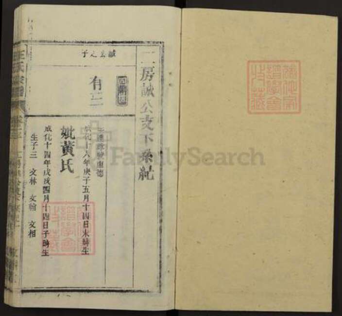 安徽省安庆市桐城市汪氏敦睦堂族谱-皖桐汪氏宗谱.pdf电子版预览图1