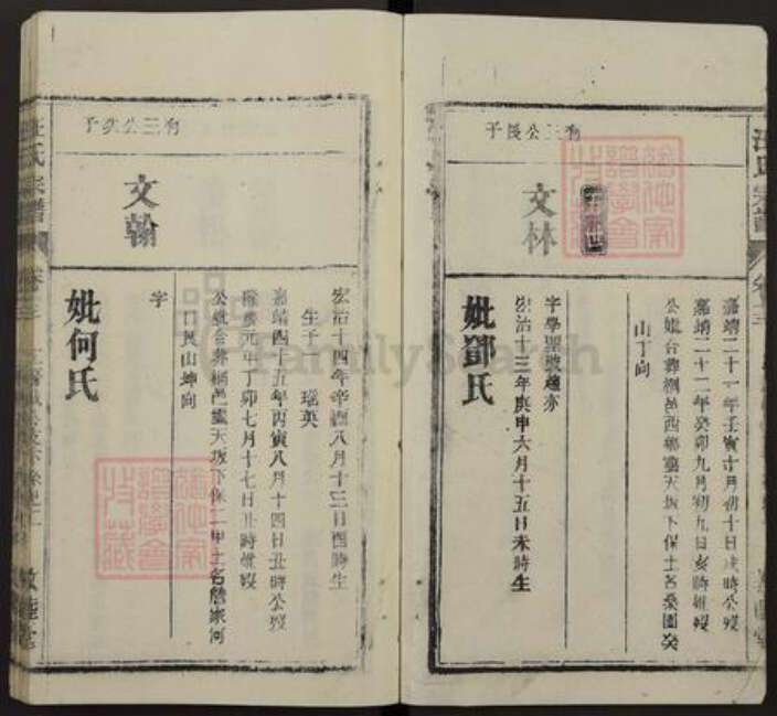 安徽省安庆市桐城市汪氏敦睦堂族谱-皖桐汪氏宗谱.pdf电子版预览图2