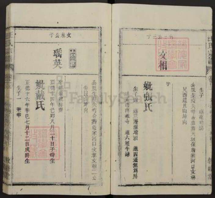 安徽省安庆市桐城市汪氏敦睦堂族谱-皖桐汪氏宗谱.pdf电子版预览图3