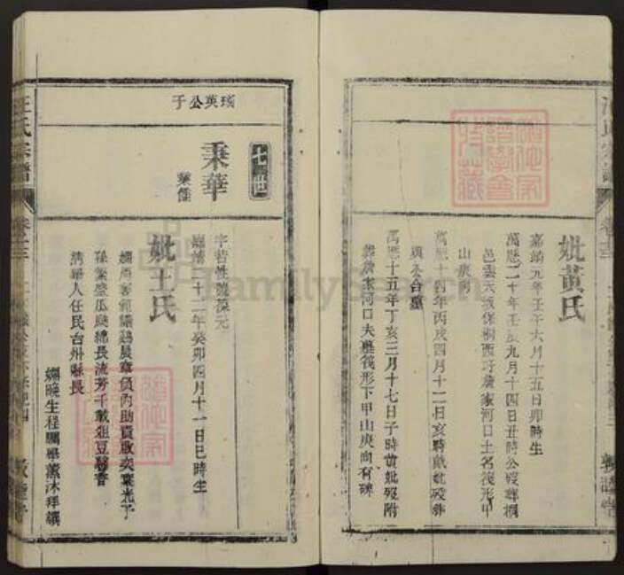 安徽省安庆市桐城市汪氏敦睦堂族谱-皖桐汪氏宗谱.pdf电子版预览图4