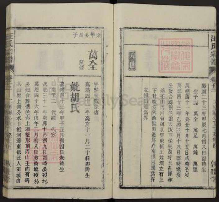 安徽省安庆市桐城市汪氏敦睦堂族谱-皖桐汪氏宗谱.pdf电子版预览图5