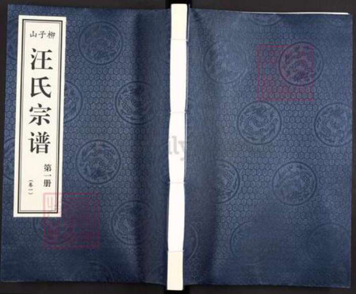 安徽省铜陵市枞阳县汪氏敬睦堂族谱-柳子山汪氏宗谱.pdf电子版缩略图