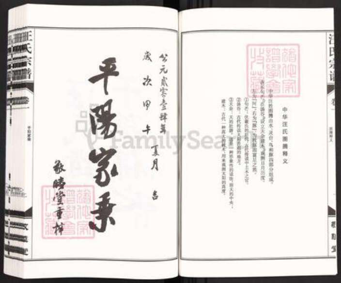 安徽省铜陵市枞阳县汪氏敬睦堂族谱-柳子山汪氏宗谱.pdf电子版预览图2