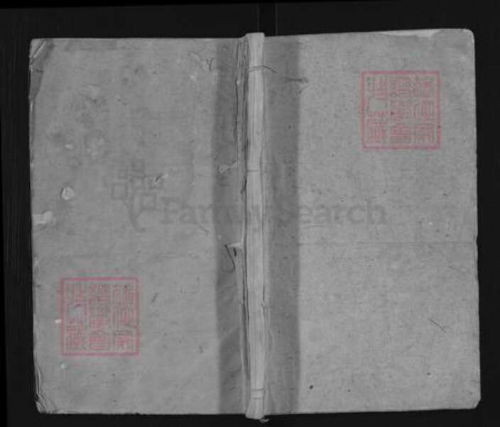 湖北省黄冈市黄梅县新开镇汪氏文华堂族谱-汪氏宗谱.pdf电子版缩略图