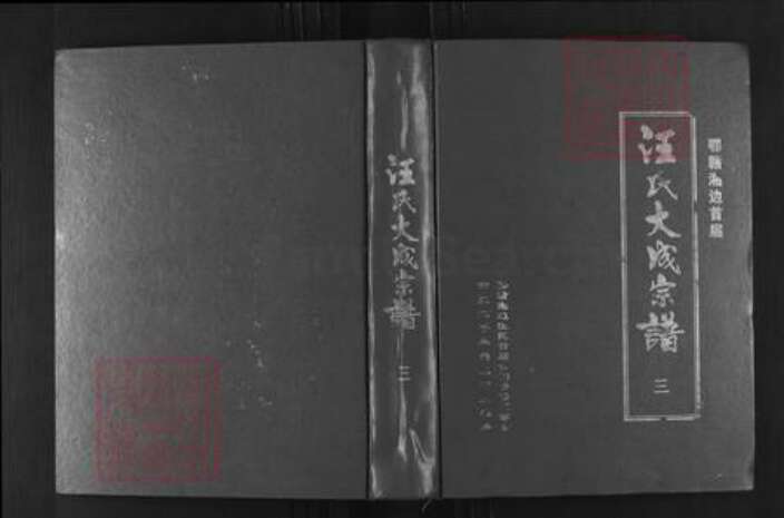 湖北省咸宁市崇阳县港口乡汪氏越国堂族谱-汪氏大成宗谱.鄂赣湘边首届.pdf电子版缩略图