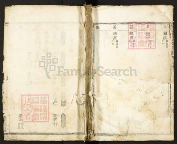 浙江省丽水市缙云县壶镇镇汪氏族谱-宫泽汪氏宗谱.pdf电子版缩略图