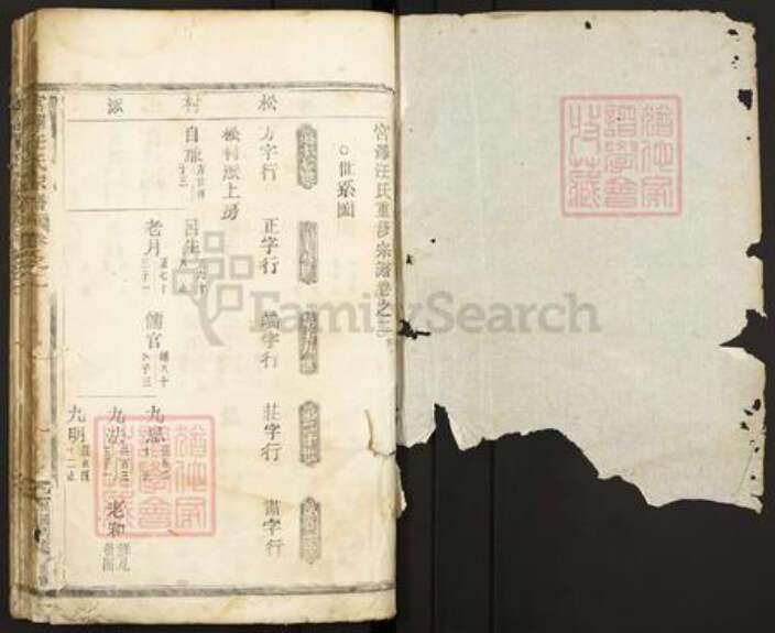 浙江省丽水市缙云县壶镇镇汪氏族谱-宫泽汪氏宗谱.pdf电子版预览图1