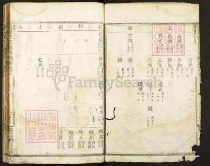 浙江省丽水市缙云县壶镇镇汪氏族谱-宫泽汪氏宗谱.pdf电子版预览图2