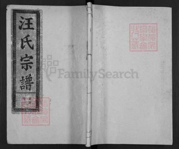 湖北省鄂州市华容区华容镇汪氏垂裕堂族谱-汪氏宗谱.pdf电子版缩略图