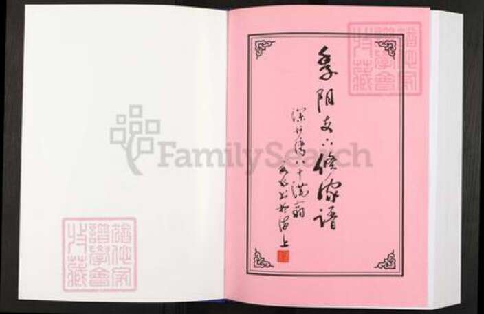 湖南省湘潭市汪氏平阳堂族谱-中湘汪氏季阳支六修家谱.pdf电子版预览图1