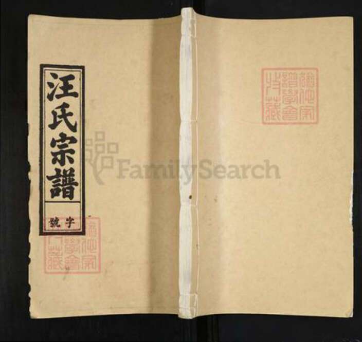安徽省安庆市潜山市汪氏敦睦堂族谱-汪氏宗谱.pdf电子版缩略图