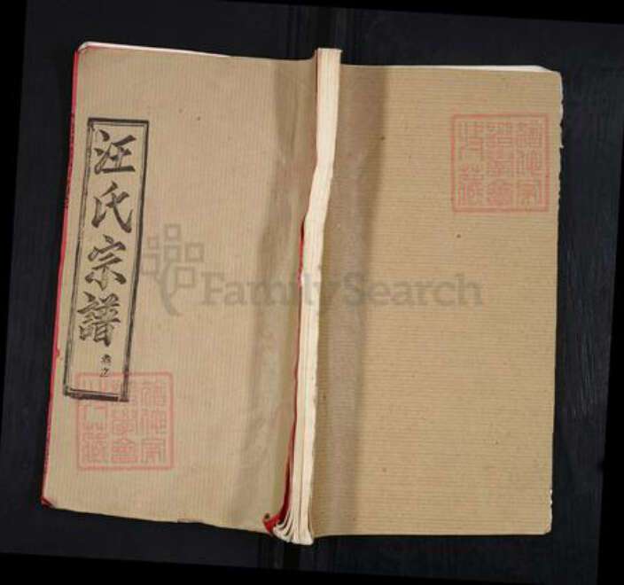 湖北省黄冈市黄州区堵城镇汪氏敦睦堂族谱-汪氏宗谱.pdf电子版缩略图