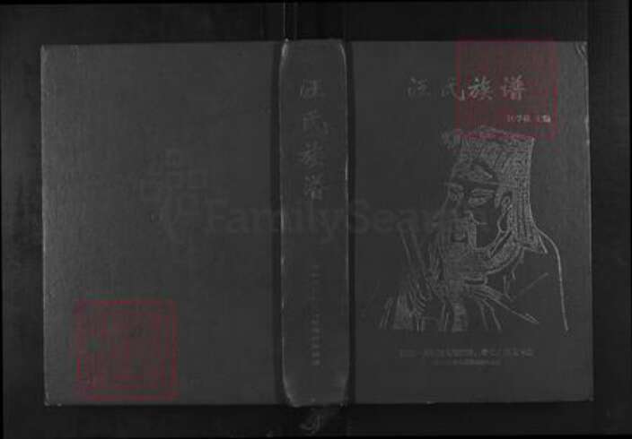 四川省汪氏越国堂族谱-汪氏族谱.pdf电子版缩略图
