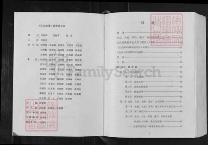 四川省汪氏越国堂族谱-汪氏族谱.pdf电子版预览图2