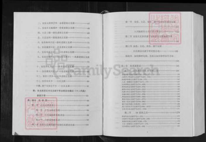 四川省汪氏越国堂族谱-汪氏族谱.pdf电子版预览图3