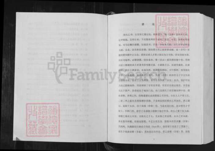 四川省汪氏越国堂族谱-汪氏族谱.pdf电子版预览图5