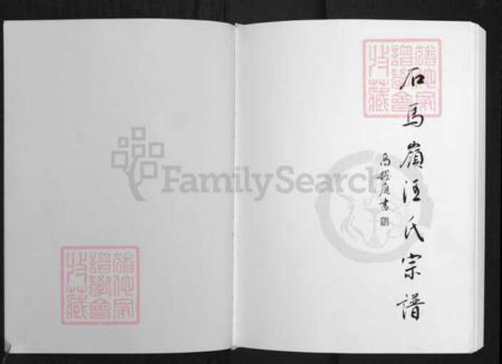安徽省铜陵市枞阳县横端口镇汪氏世茂堂族谱-石马岭汪氏宗谱.pdf电子版预览图1