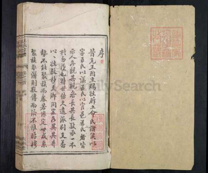 河南省许昌市长葛市汪氏大本堂族谱-汪氏宗谱.pdf电子版预览图1