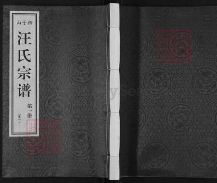 安徽省铜陵市枞阳县汪氏敬墓堂族谱-柳子山汪氏宗谱.pdf电子版缩略图
