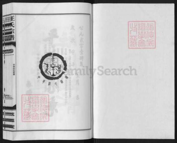 安徽省铜陵市枞阳县汪氏敬墓堂族谱-柳子山汪氏宗谱.pdf电子版预览图1