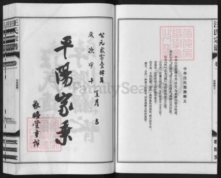 安徽省铜陵市枞阳县汪氏敬墓堂族谱-柳子山汪氏宗谱.pdf电子版预览图2