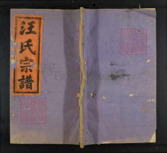 福建省三明市建宁县汪氏族谱-汪氏宗谱.pdf电子版缩略图