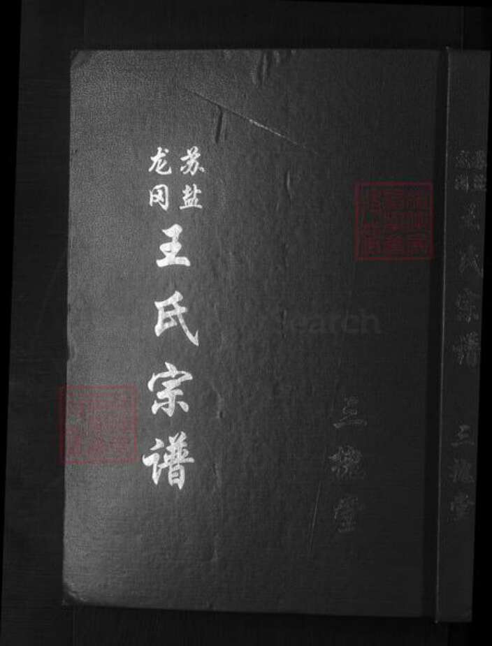 江苏省盐城市王氏族谱-王氏宗谱 [17卷首1卷].pdf电子版缩略图