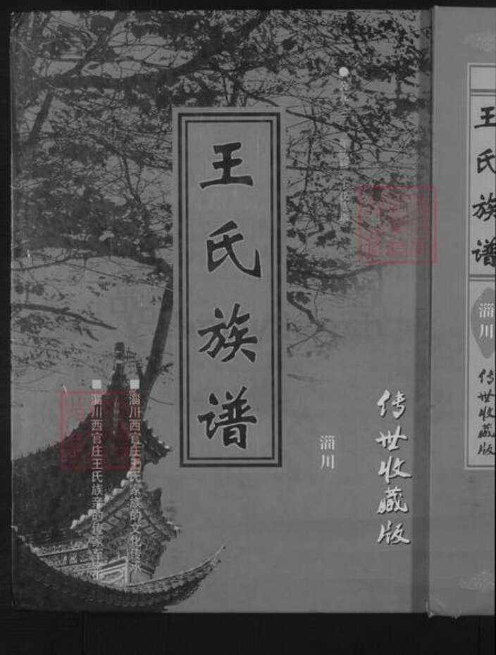 山东省淄博市淄川区王氏族谱-王氏族谱 [不分卷].pdf电子版缩略图